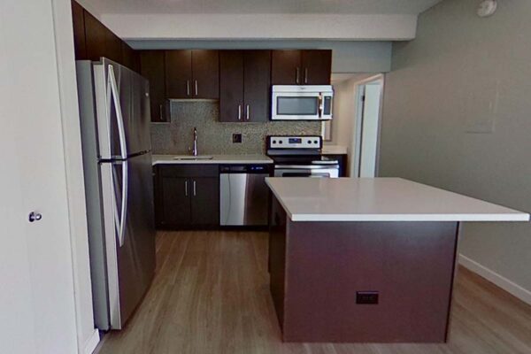 3D tour thumbnail for 1044 Downing unit 305.
