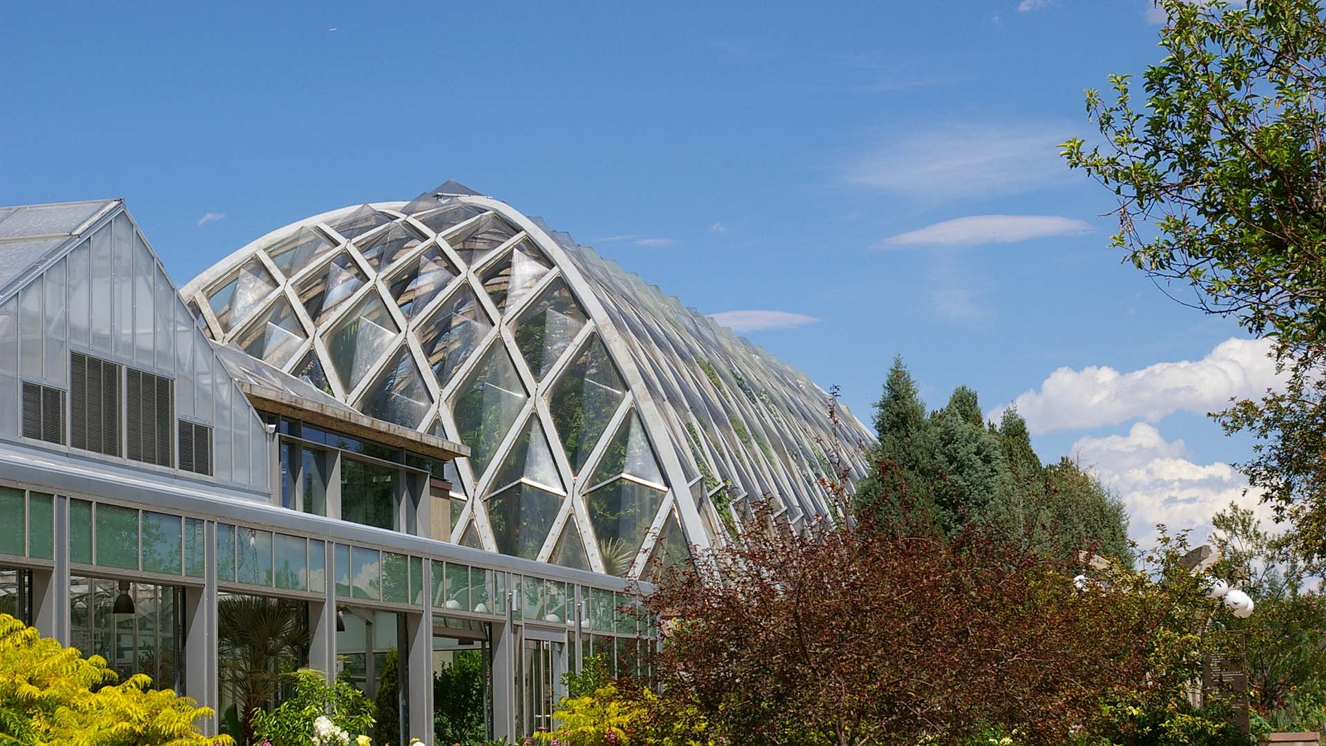 Geometric domed greenhouse building at the Denver Botanic Gardens surrounded by tall trees.