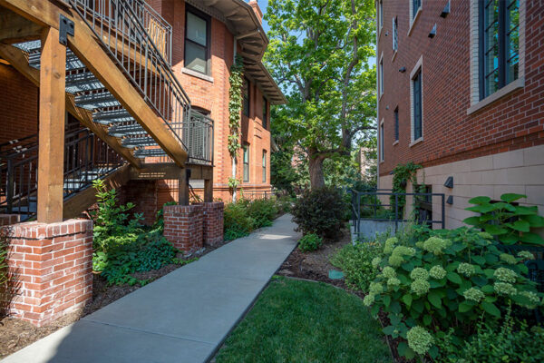 Courtyard with lush landscaping, wood and metal staircase, and tall trees.