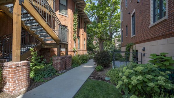 Courtyard with lush landscaping, wood and metal staircase, and tall trees.