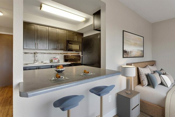 Studio living space with bed, breakfast bar, and half wall into updated kitchen.