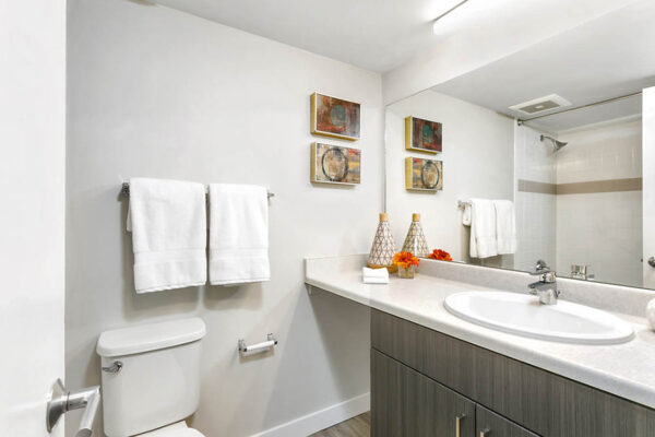 Bathroom with wood floor and cabinet, light counter, large mirror, and eclectic decor.