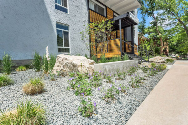 Lush landscaping in front of 1311 Cook.