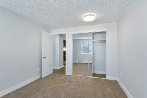 Bedroom with carpet, cool grey walls, and closet with mirror door.