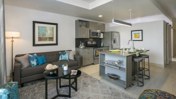 Apartment kitchen and living space with modern furniture, stainless steel appliances, and natural light.