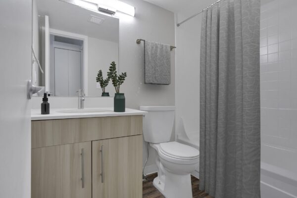bathroom with one sink, toilet and bath tub
