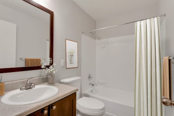 bathroom with dark wood cabinets, single sink, toilet and bathtub