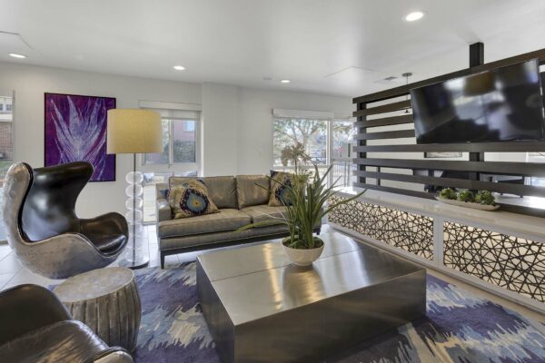 Lounge with modern seating, coffee table with plant, and wall mounted TV.