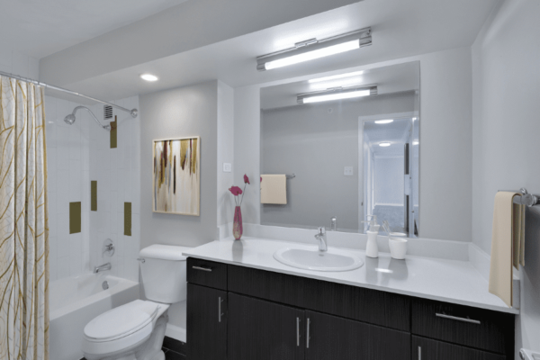 bathroom with bathtub, toilet, and double sink