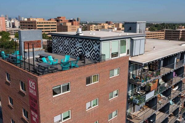 Image of The Dexters & Dahlias.