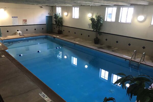 Pre-renovation basement pool area at 1280 Lafayette.
