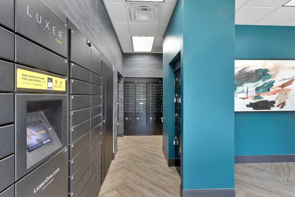 Mail room with wood floor, blue accent wall, Luxer package locker, and locked mailboxes.