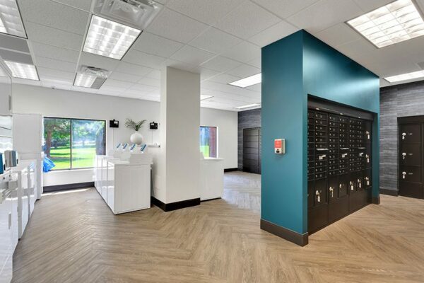 Laundry and mail room with wood floor, blue accent wall, laundry machines, and mail lockers.
