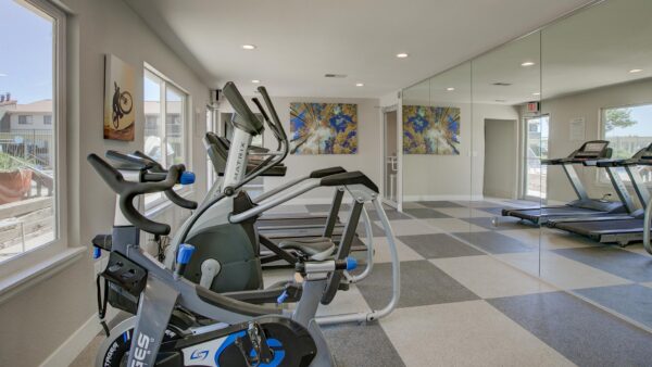 Fitness center with mirror wall, large windows, cardio machines, and weight equipment.