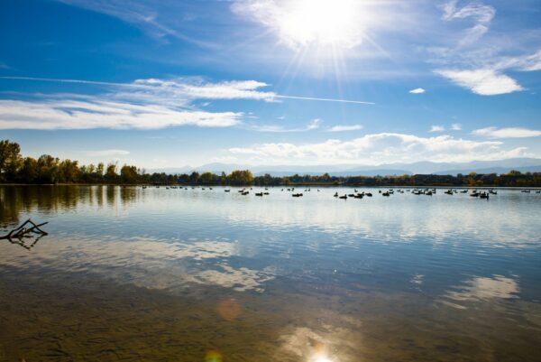 A lake surrounded by trees with a sunny, blue sky.