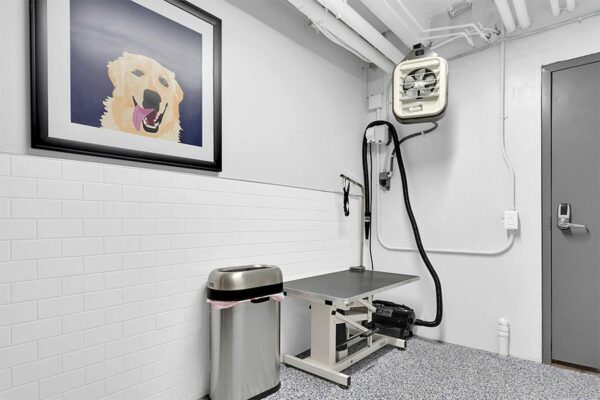 Pet wash room with dog washing stand, blow dryer, and illustration of dog.