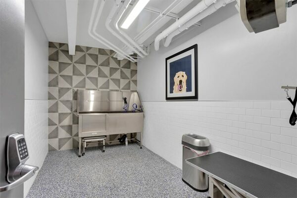 Pet wash room with stainless steel dog wash basin, geometric tiled wall, and illustration of dog.