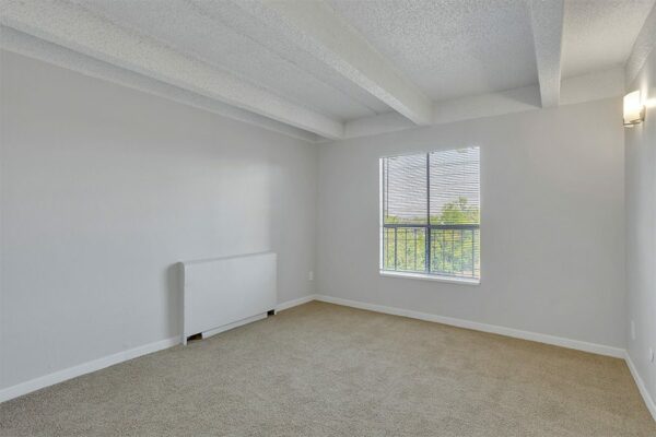 Bedroom with carpet, grey walls, white trim, and large window.
