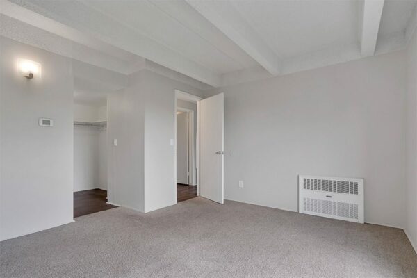 Bedroom with carpet, grey walls, and doorways to bathroom/closet and hallway.