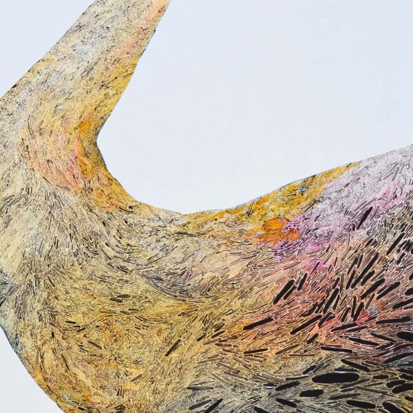 Kaitlyn Tucek's artwork 