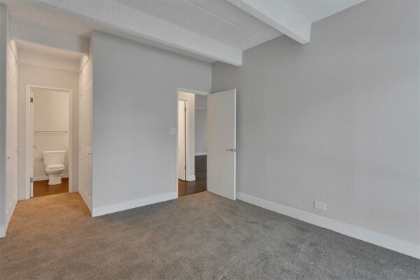 Bedroom with carpet, grey walls, white trim, and doors to hallway and bathroom.