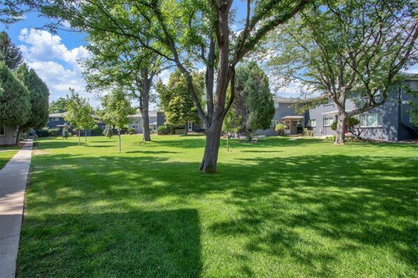 Trace Townhomes with lush lawns, mature trees, and concrete pathways.