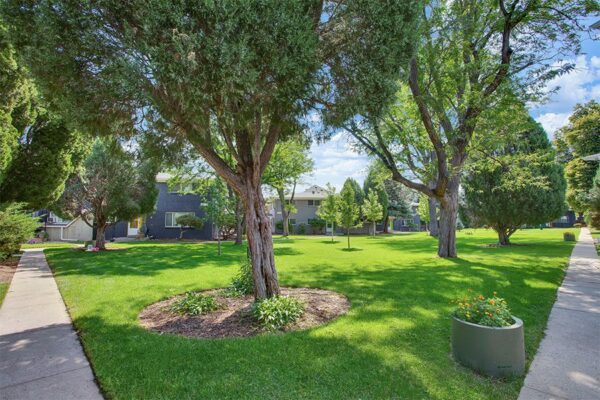 Trace Townhomes with lush lawns, mature trees, and concrete pathways.