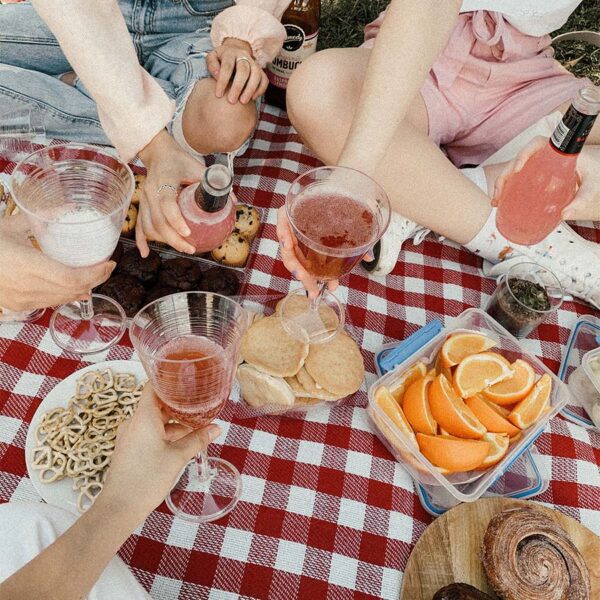 People toasting with drinks while having picnic on red checker blanket with variety of foods.