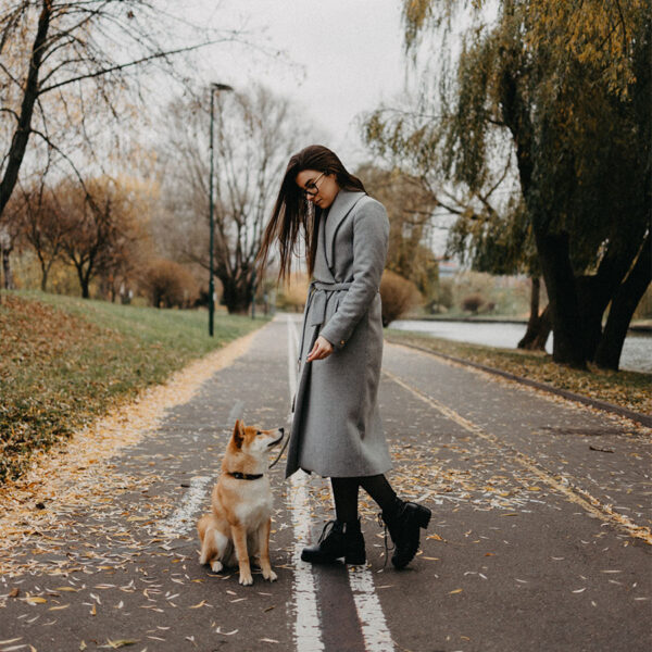 Person with long brown hair in grey trench coat and tall boots walking shiba inu dog on tree lined path.