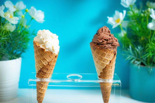Chocolate and vanilla ice cream cones in clear plastic holder in front of bright blue wall.