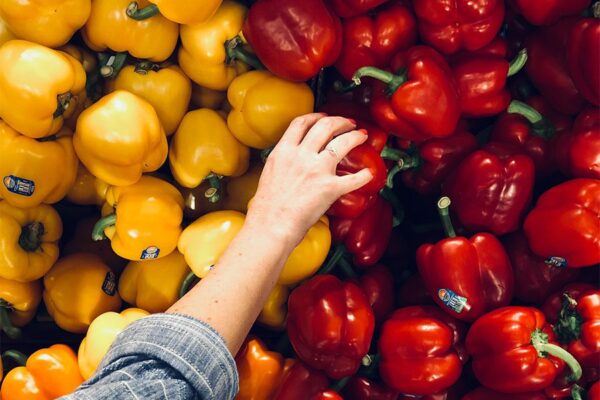 Person reaching into bin of yellow and red peppers.