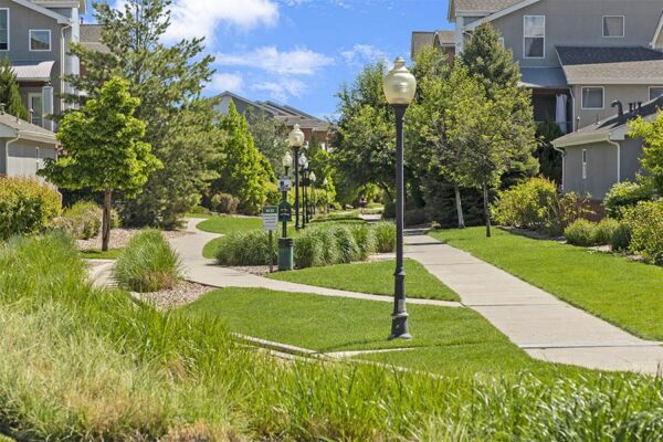 Concrete paths through lush landscaping in Lowry neighborhood.