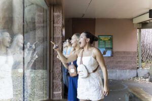 two girls pointing in amusement at gorilla