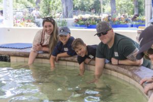 four people reaching into pool and petting animals